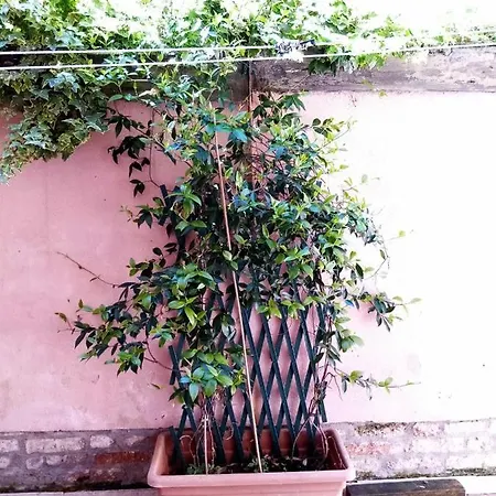 Biennale Flat * Venise